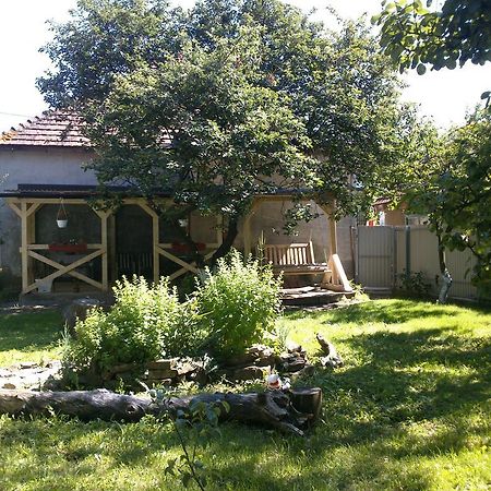 Villa Svalyavа Svaliava Eksteriør billede
