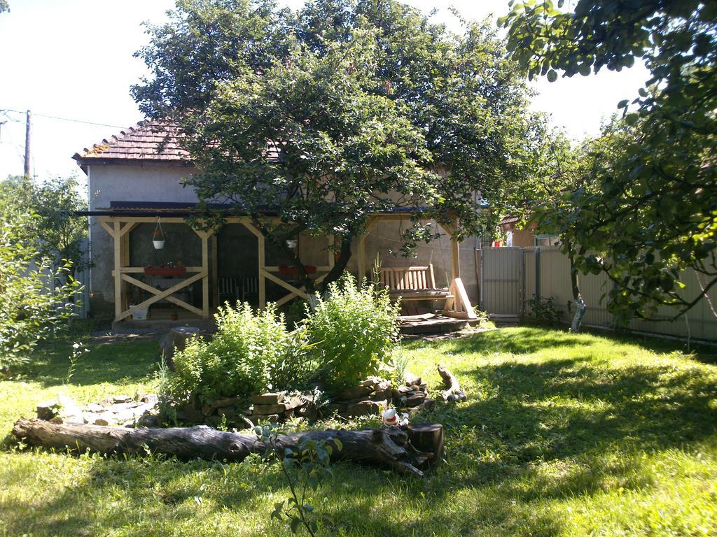 Villa Svalyavа Svaliava Eksteriør billede