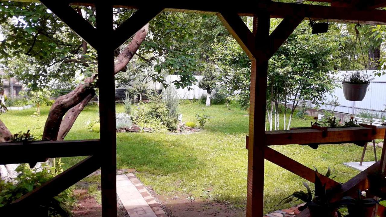 Villa Svalyavа Svaliava Eksteriør billede